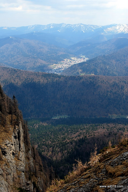 Carpati.org