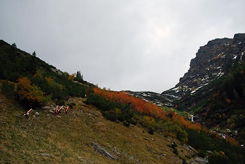 Carpati.org