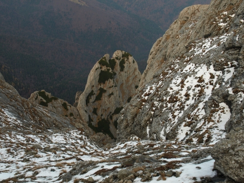 Carpati.org