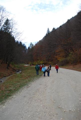 Carpati.org