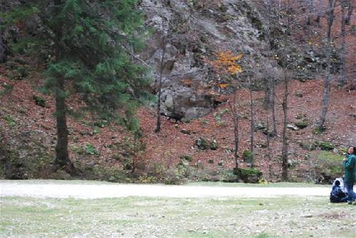 Carpati.org