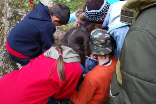 Carpati.org