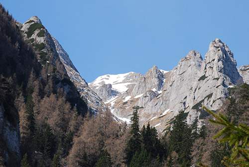 Carpati.org