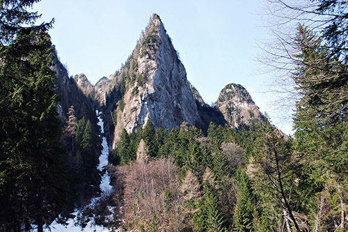 Carpati.org
