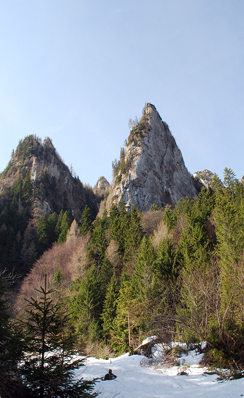 Carpati.org