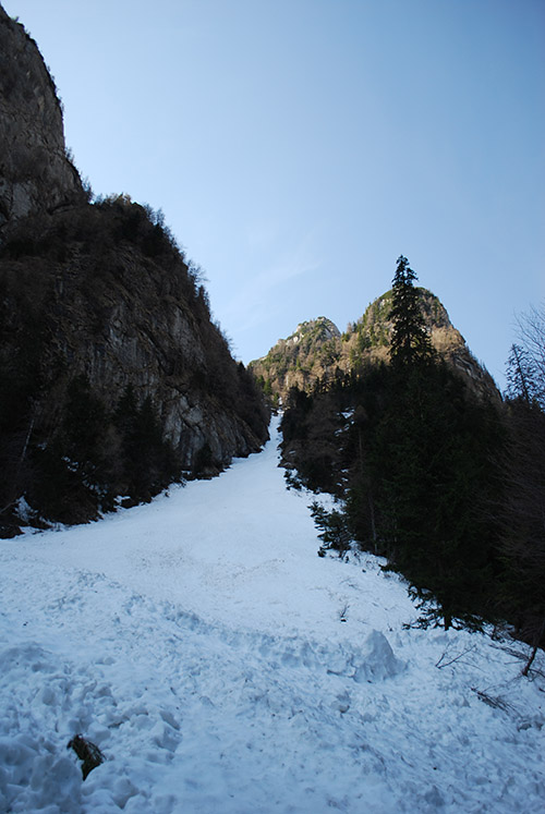 Carpati.org