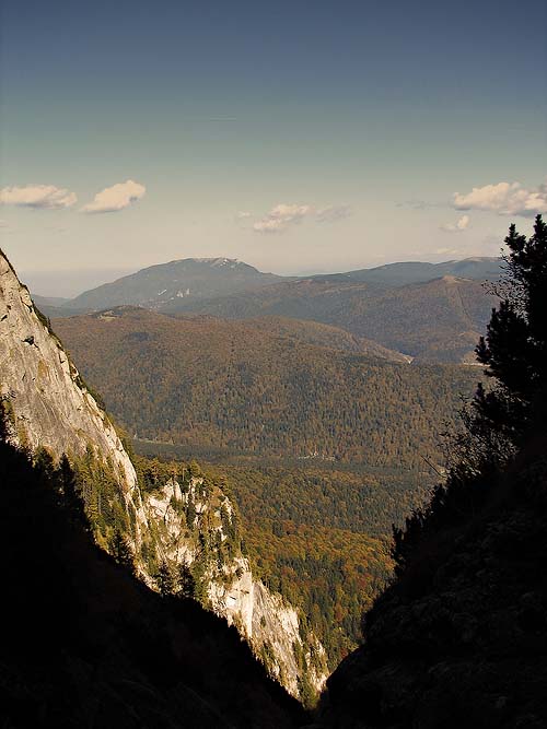 Carpati.org