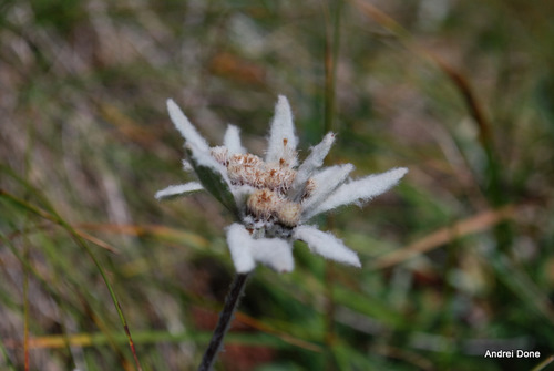 /ace21aug2010/50.jpg