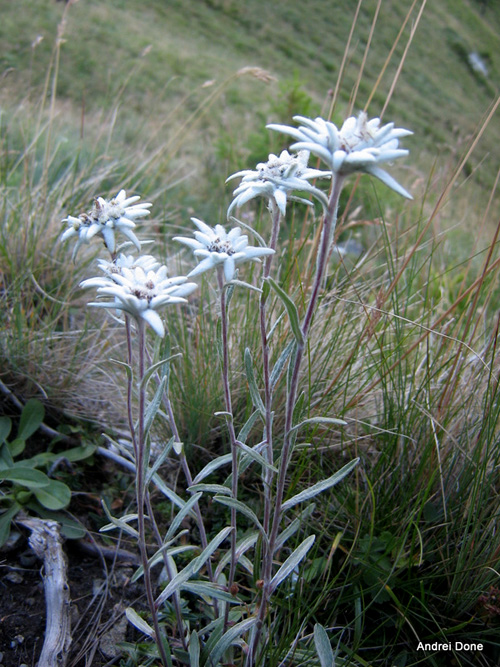 /ace21aug2010/63.jpg