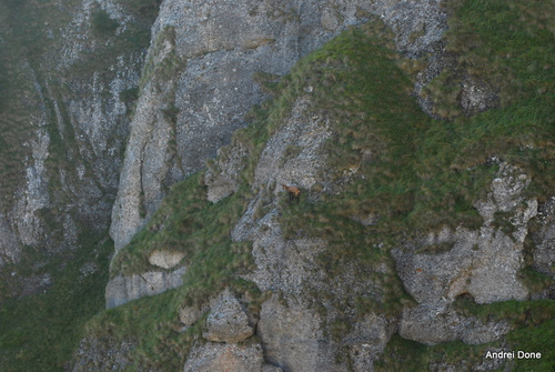 /ace21aug2010/64.jpg