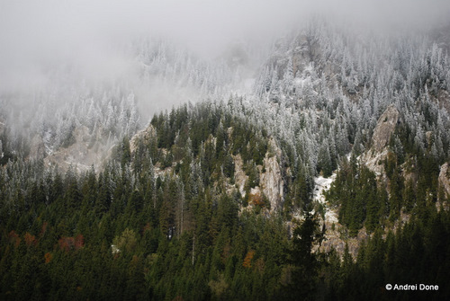 /ascutitoct2010/28.jpg