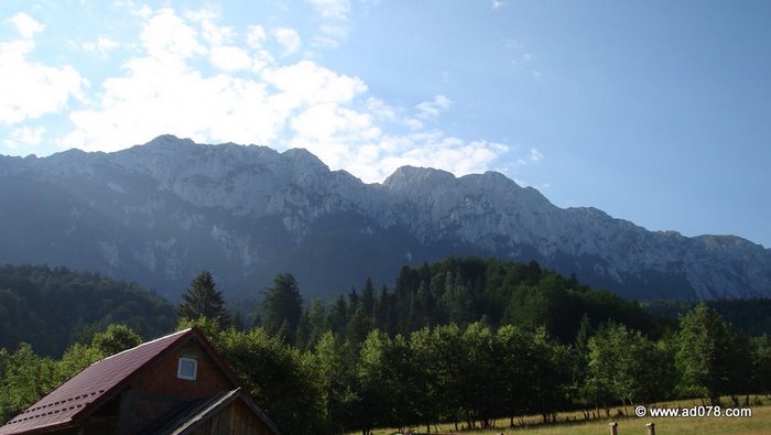 /cioranga2011/2.jpg