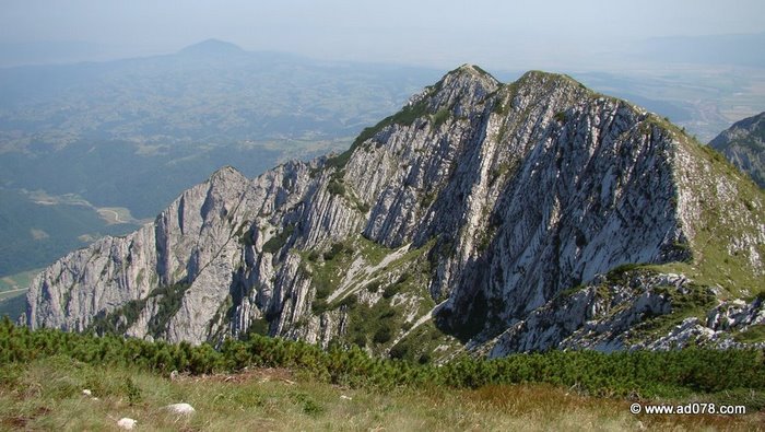 /cioranga2011/59.jpg