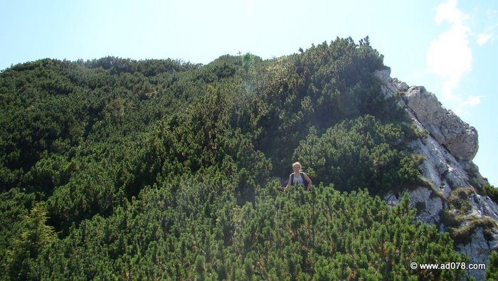 /cioranga2011/65.jpg