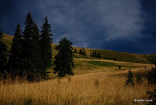 /iezersept2010/65.jpg