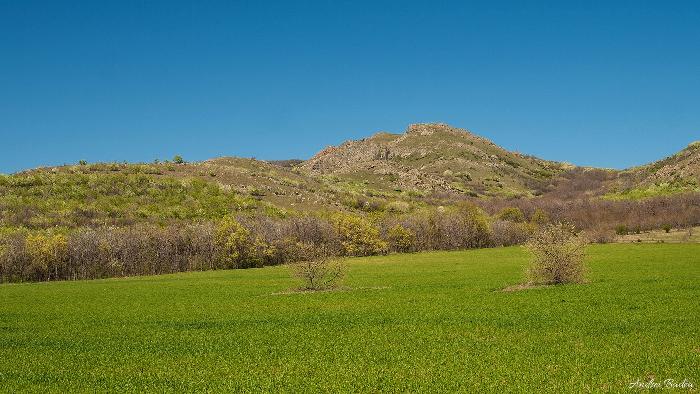 /dobrogea/110.jpg