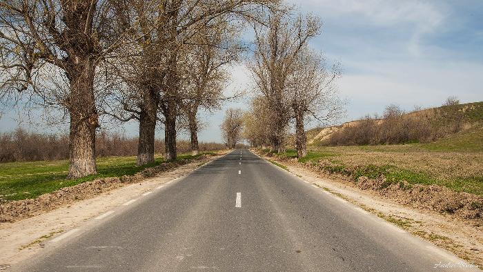 /dobrogea/58.jpg