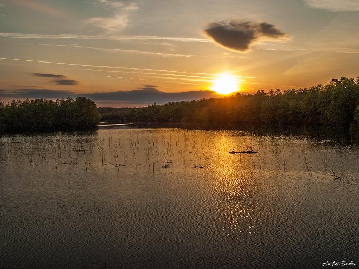 /dobrogea/89.jpg