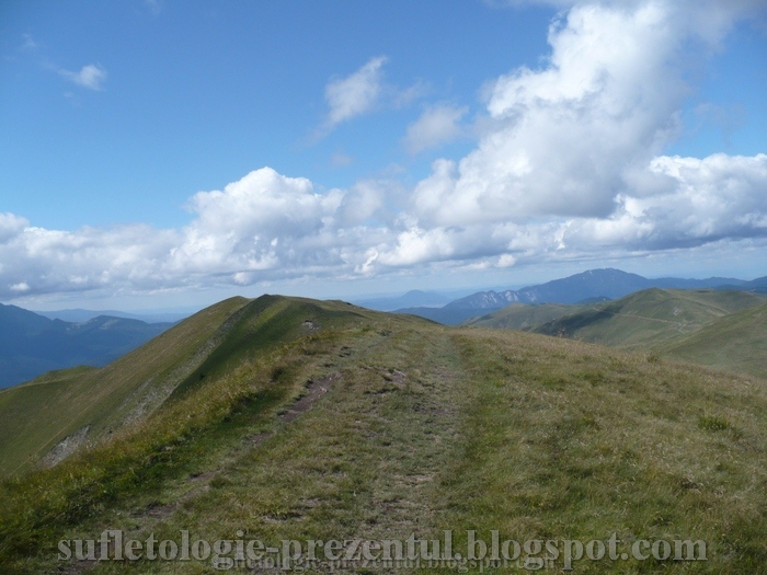 /Bai20162/p1550708-_vedere_spre_nord_din_zona_vf_baiu_mare.jpg