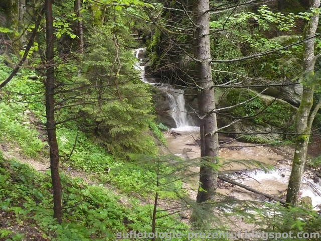 /Piatra/p1290896-_cascada_pe_valea_sipoaia.jpg