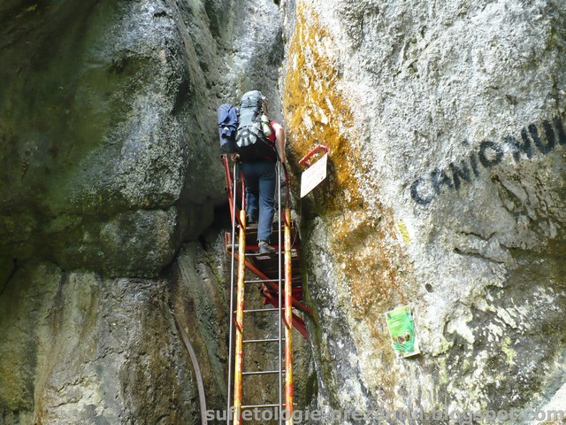 /Piatra/p1290901-_catalin_la_intrarea_in_7_scari.jpg