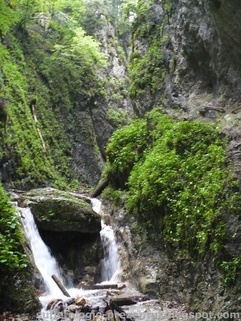 /Piatra/p1290929-_7_scari.jpg