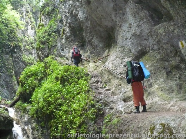 /Piatra/p1290930-_7_scari.jpg