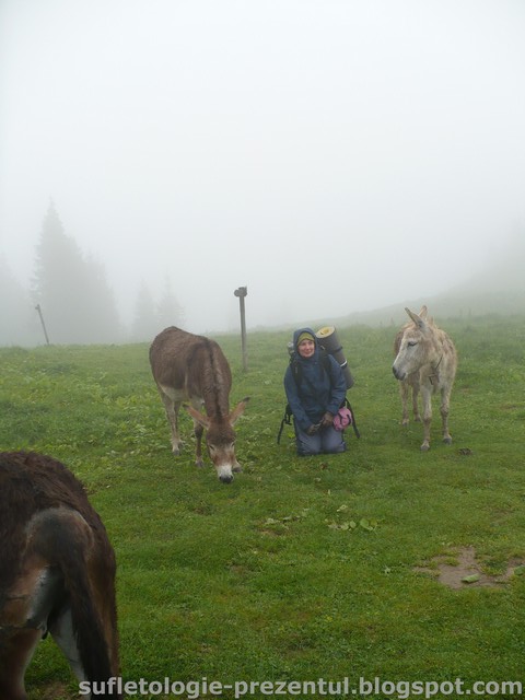/Piatra/p1290994-_doina-_amintire_cu_doi_magari-_poza_asta_cere_un_mic_crop.jpg