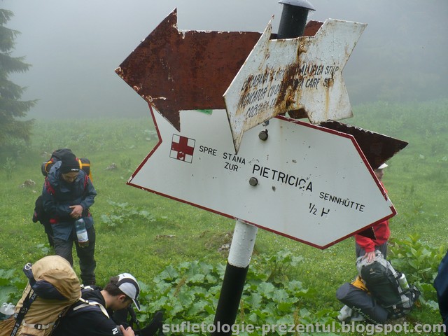 /Piatra/p1300012-_generatii_diferite_de_indicatoare.jpg