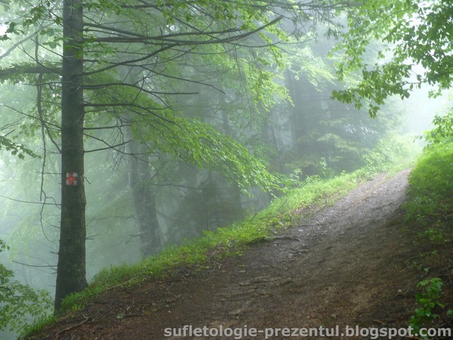 /Piatra/p1300016-_timid_pare_sa_apara_o_raza_de_soare.jpg