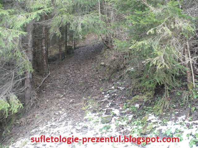 /Stevia/p1570730-_poteca_de_ocolire_a_barajului_de_pe_unghia_mica_resize.jpg
