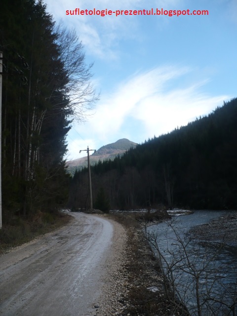 /Stevia/p1570745-_ultime_priviri_spre_est_rotate_resize.jpg