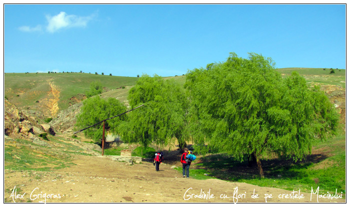 /Macin_23_04_2010/04_creasta_macin_048.jpg