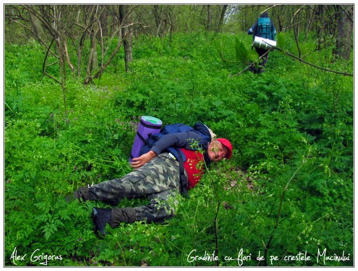 /Macin_23_04_2010/46_creasta_macin_504.jpg