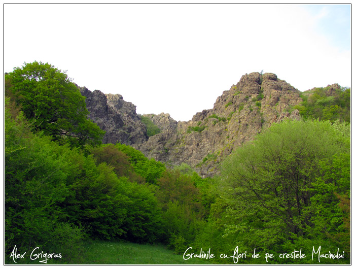 /Macin_23_04_2010/58_creasta_macin_701.jpg