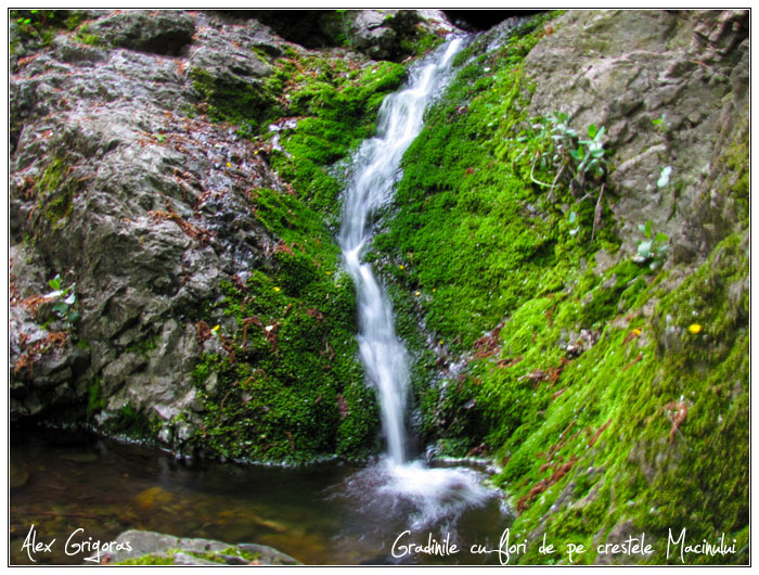 /Macin_23_04_2010/59_creasta_macin_722.jpg