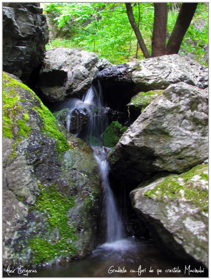 /Macin_23_04_2010/60_creasta_macin_737.jpg