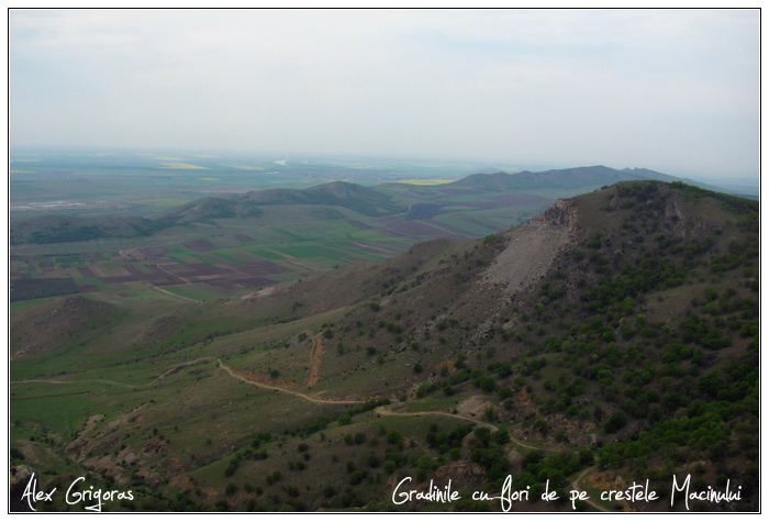 /Macin_23_04_2010/68_creasta_macin_849.jpg
