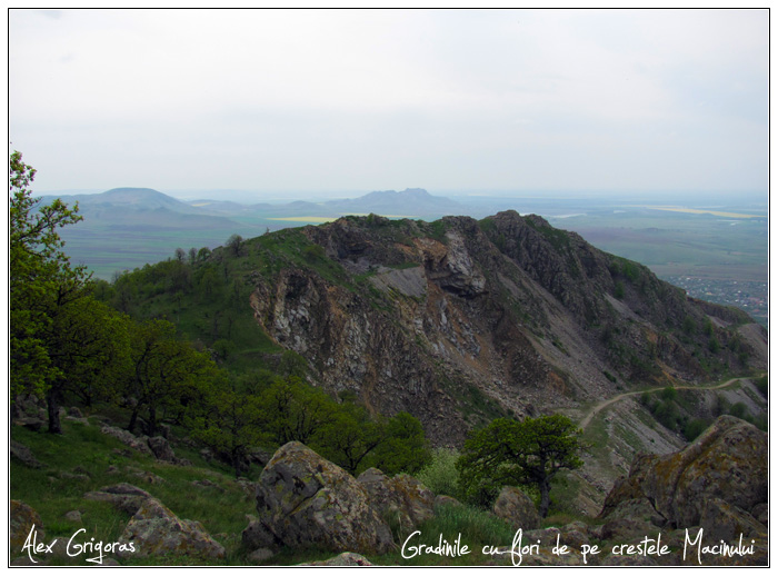 /Macin_23_04_2010/69_creasta_macin_845.jpg