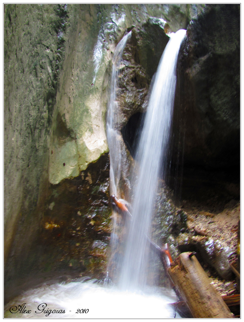 Carpati.org
