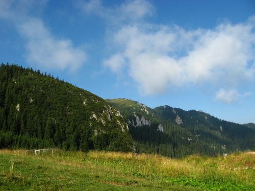 Carpati.org