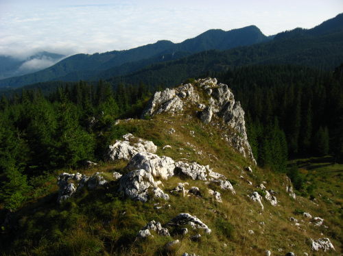 Carpati.org