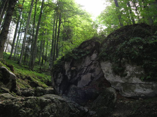 Carpati.org
