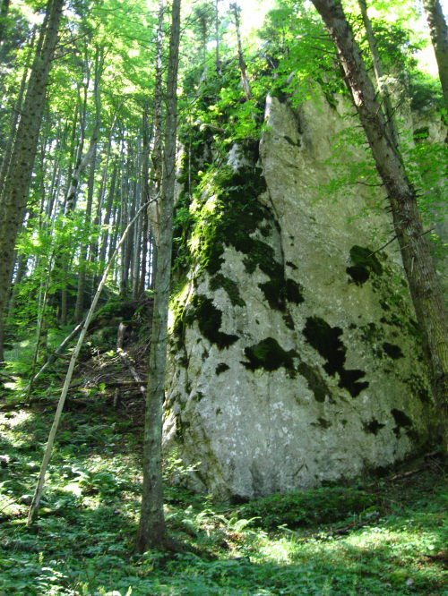 Carpati.org