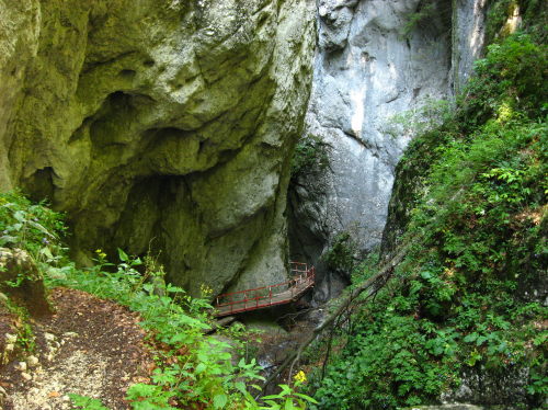 Carpati.org