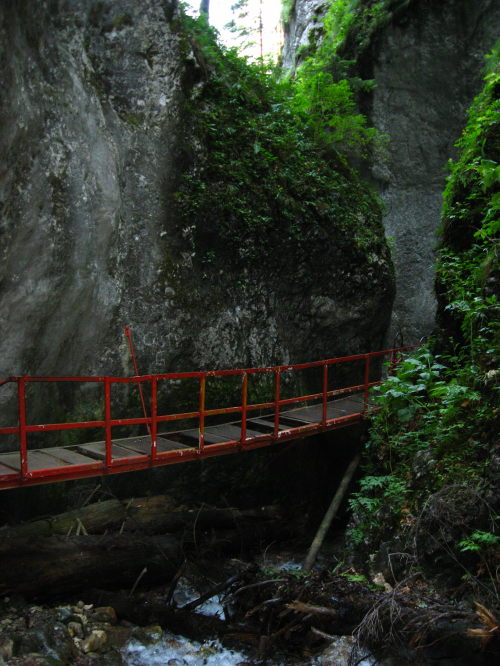 Carpati.org