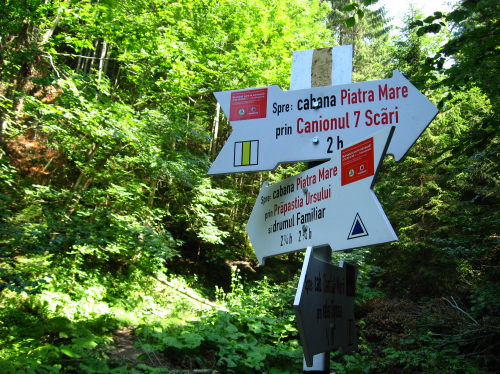 Carpati.org