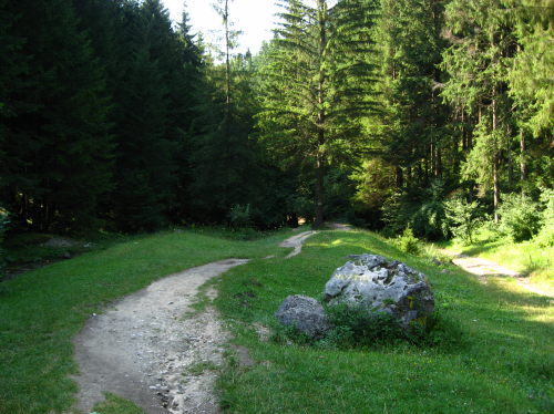 Carpati.org