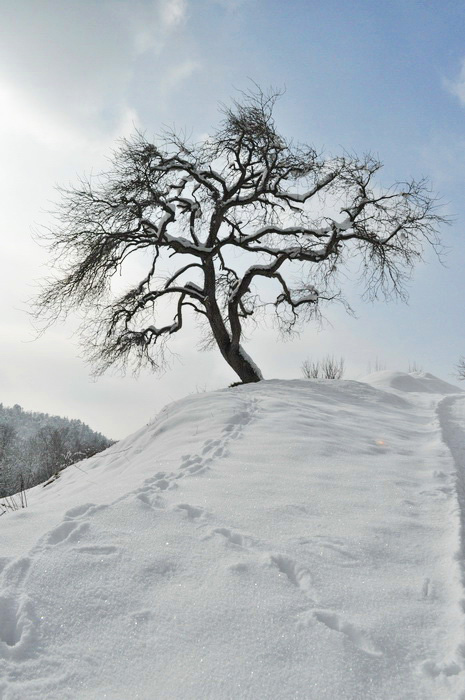 /CoziaIan2011/5.jpg