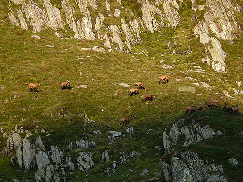 /FagarasAug2010/100.jpg